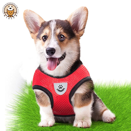 HarnessWalk Pro — Arnês Ajustável para Cão e Gato