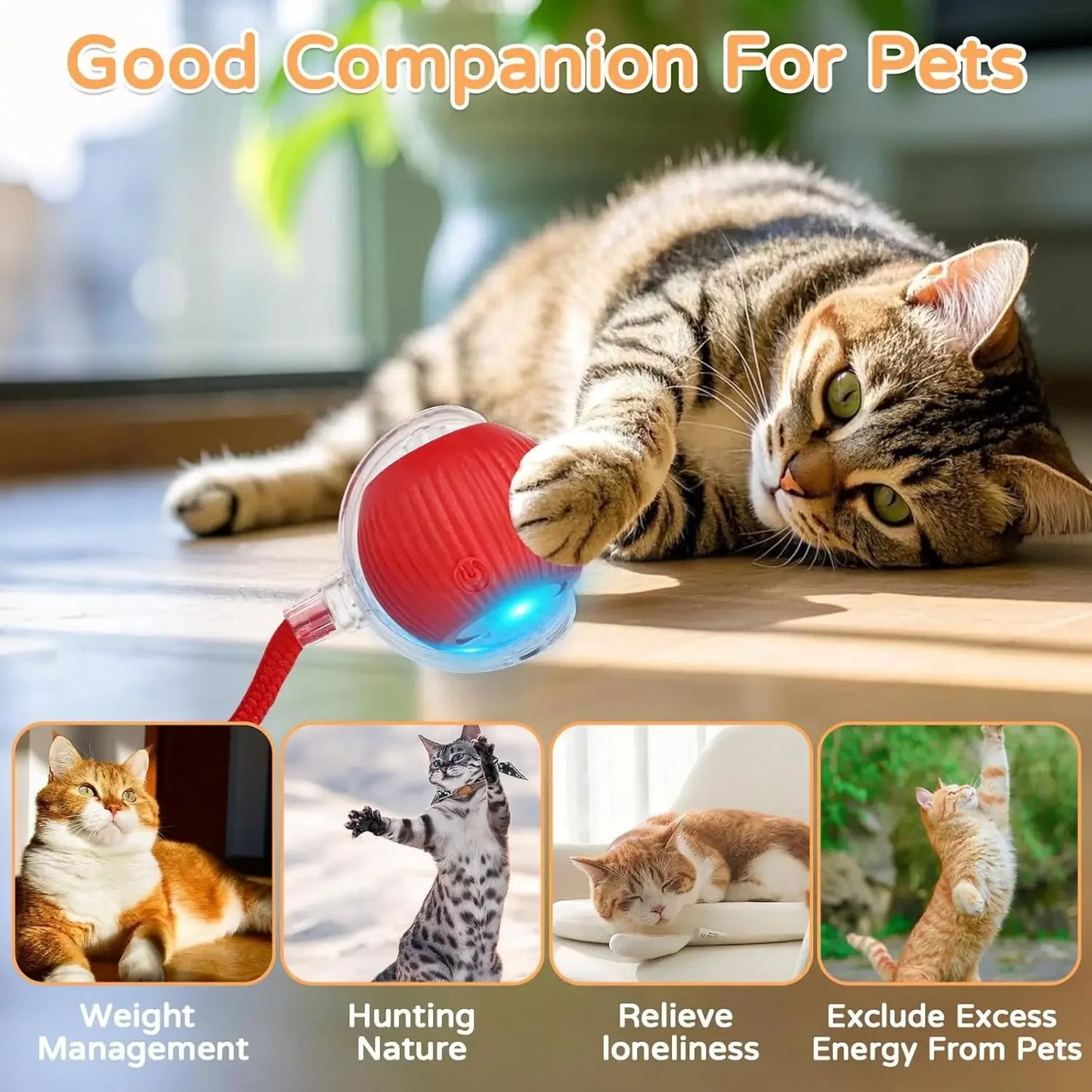 RollBall Pro — Bola Inteligente Interactiva com Cauda para Gato