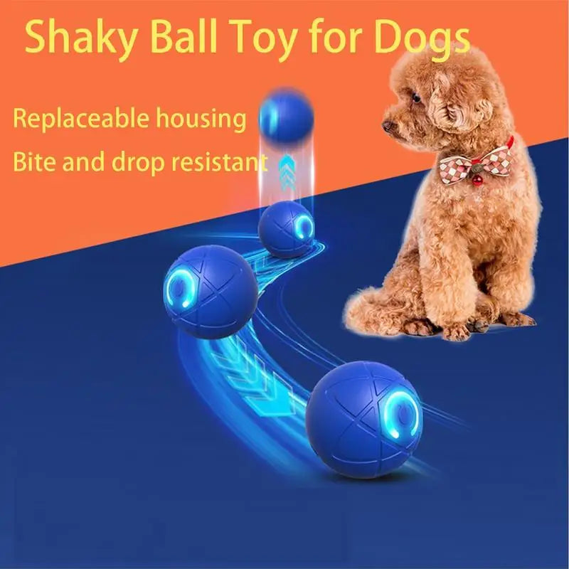 BallPet Pro — A Bola que Brinca pelo Teu Cão