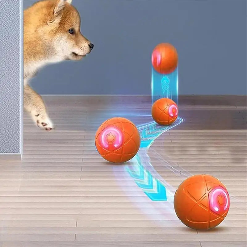 BallPet Pro — A Bola que Brinca pelo Teu Cão